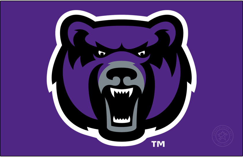 Central Arkansas Bears 2017-Pres Alt on Dark Logo diy iron on heat transfer